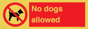 No dogs allowed